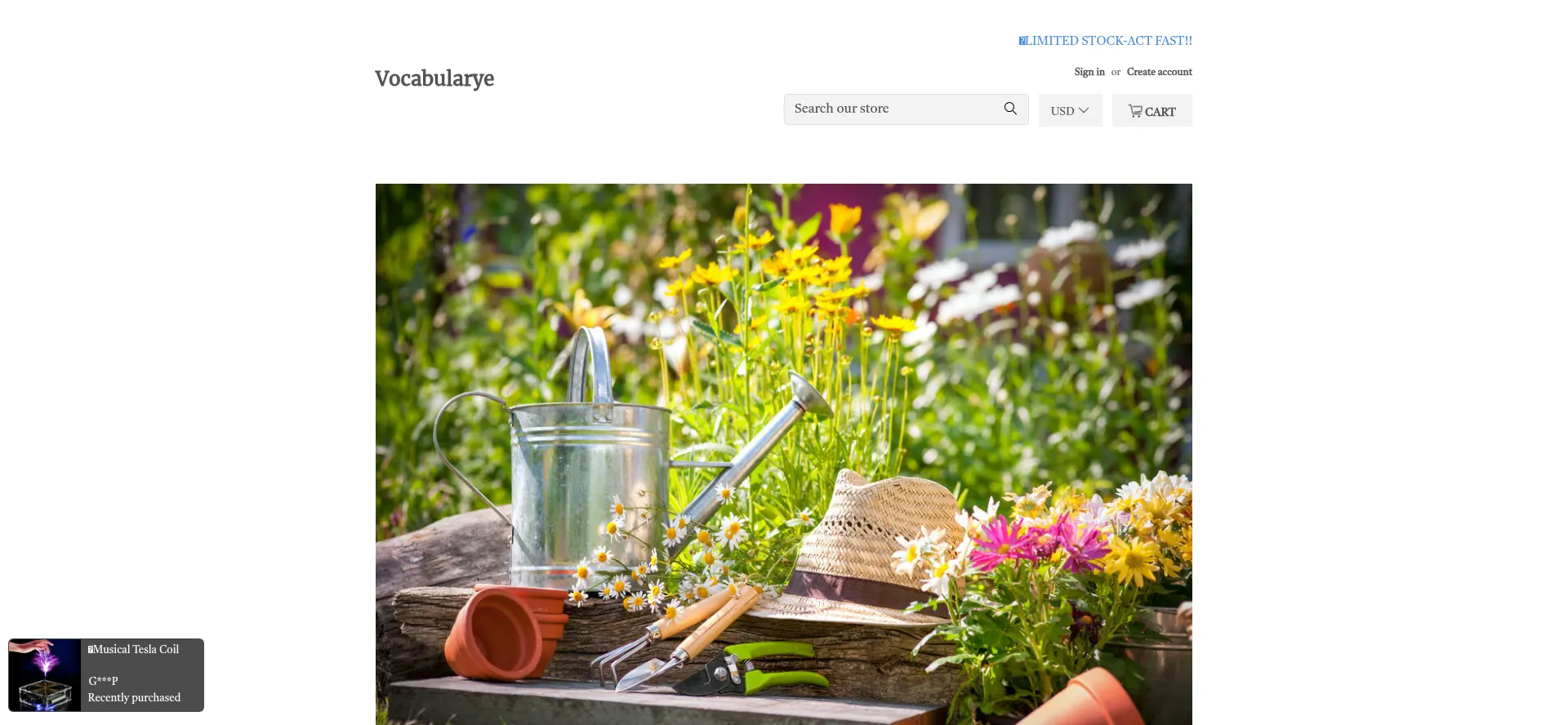 Website screenshot of Vocabularye.com