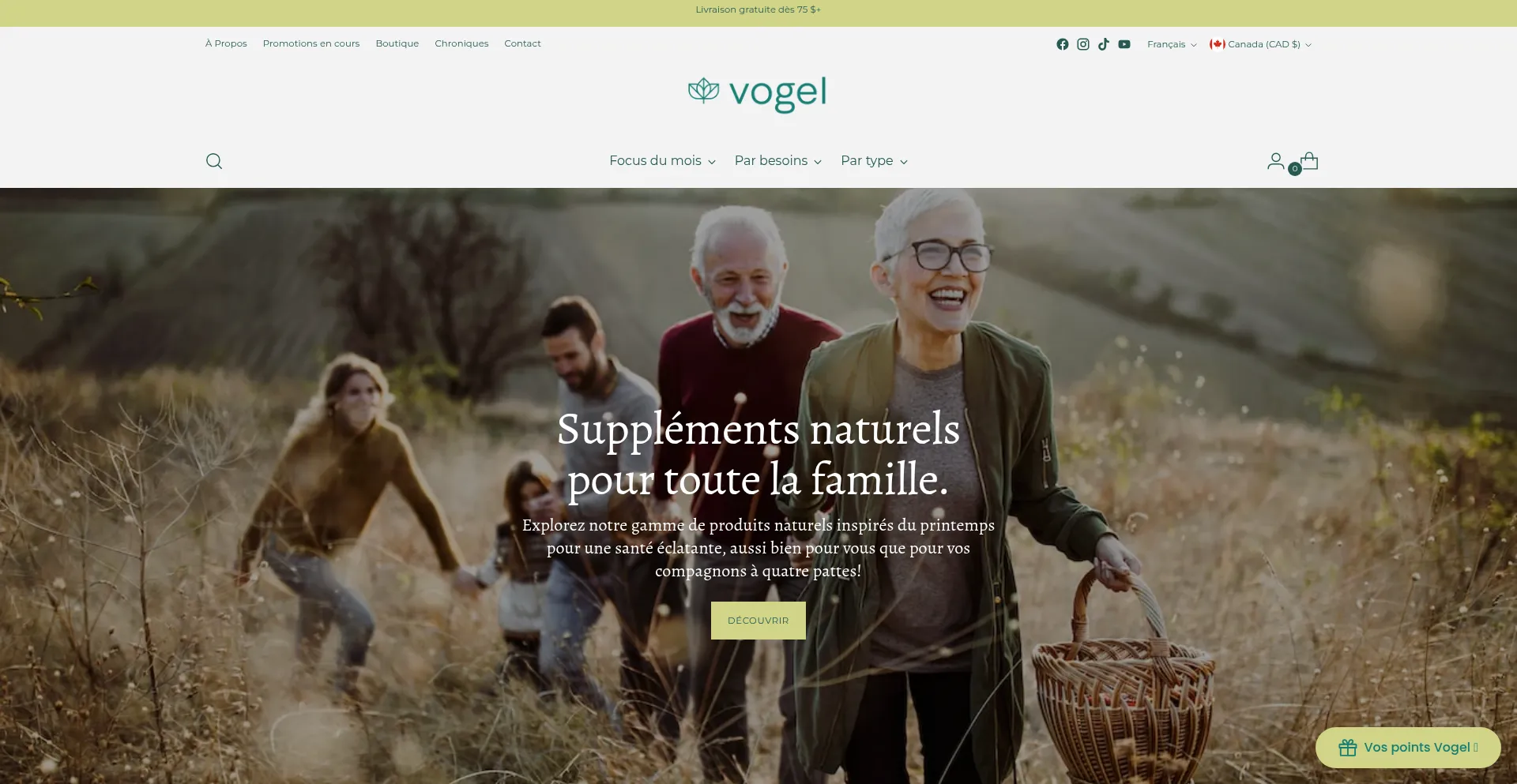 Vogelstjerome.com