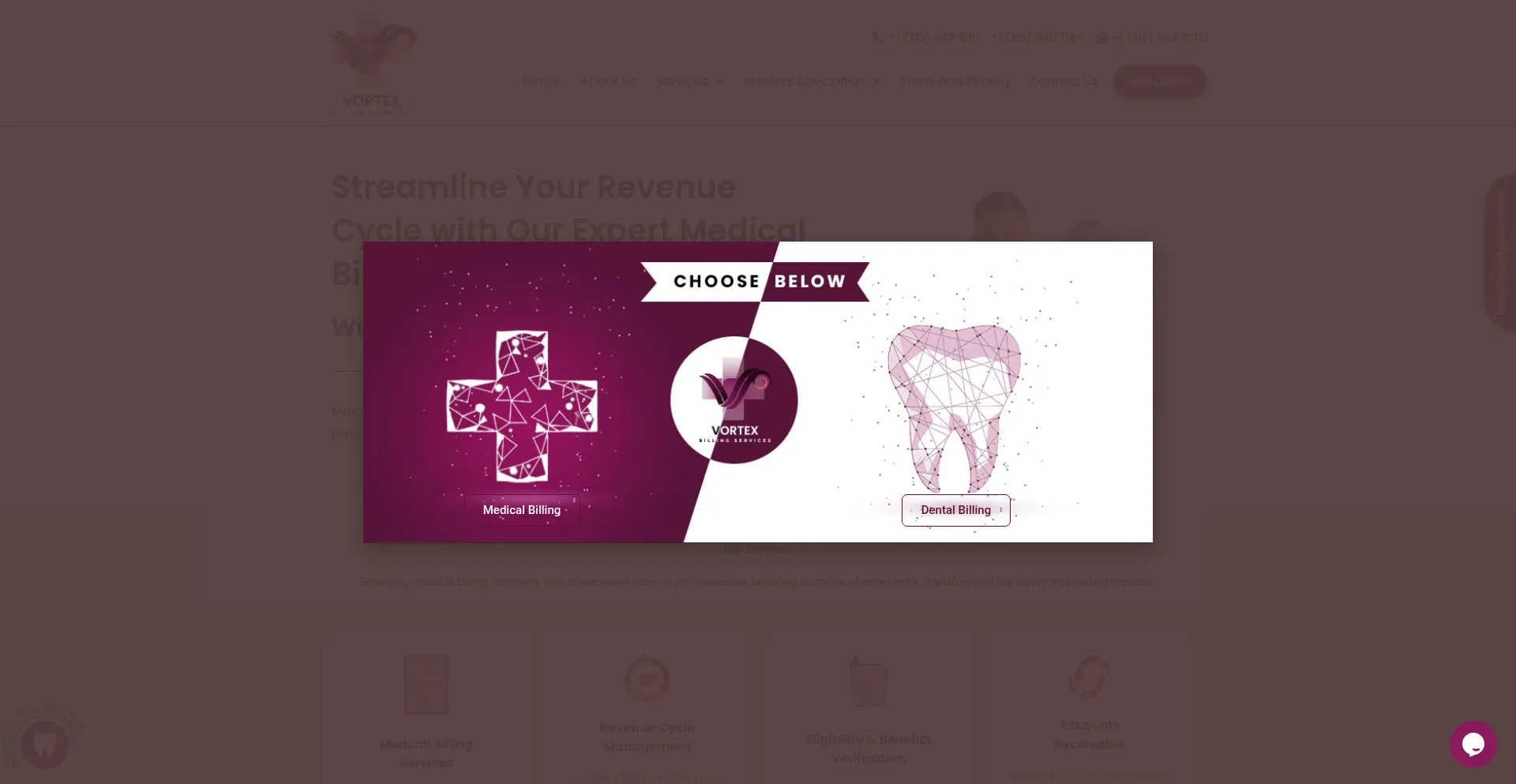 Website screenshot of Vortexconsultings.com