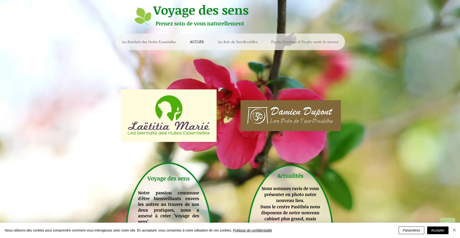 Voyage-des-sens.com Screenshot