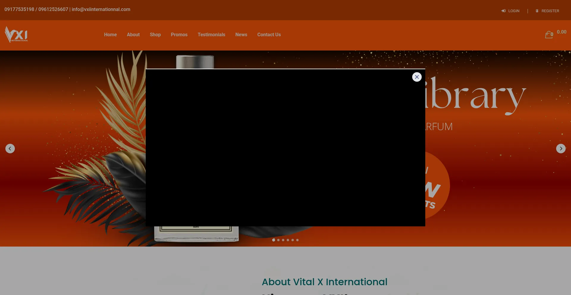 Website screenshot of Vxiinternational.com