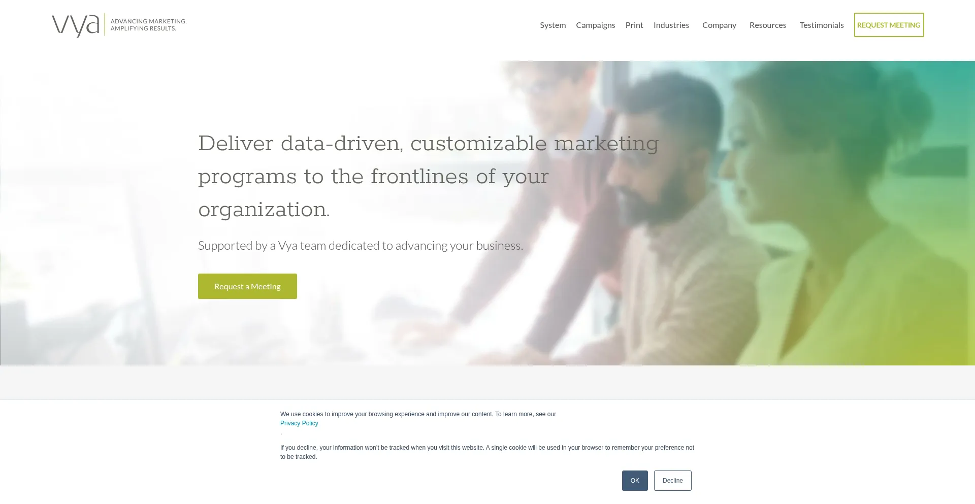 Website screenshot of Vyasystems.com