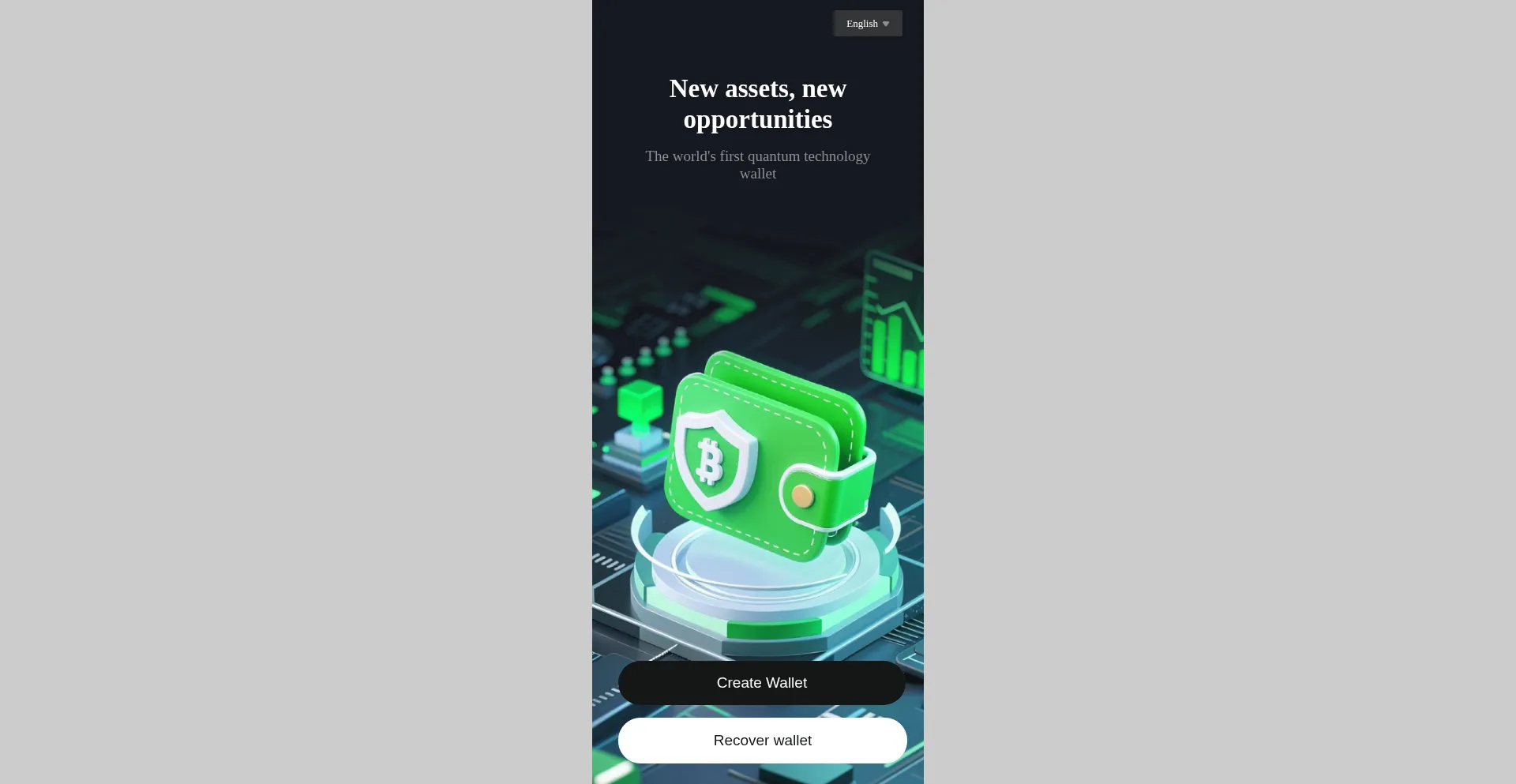 W.verivault-chain.net