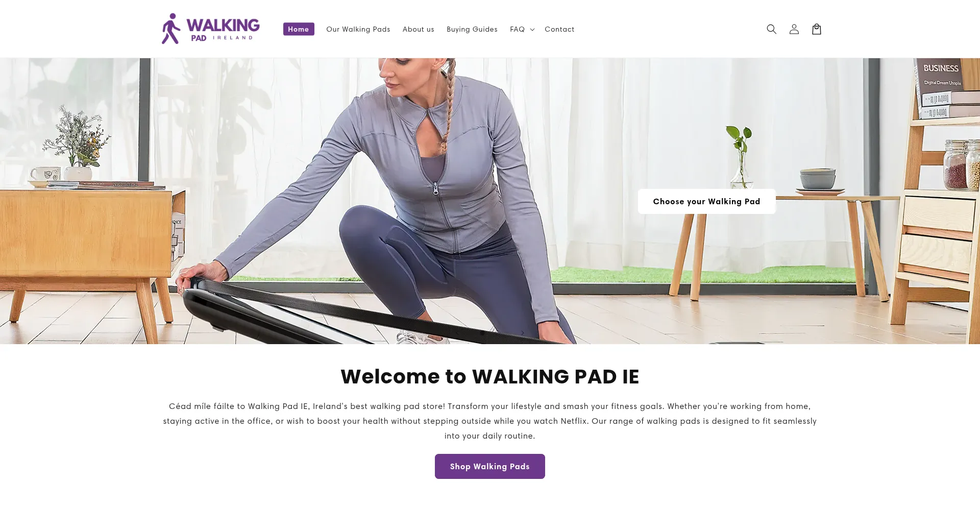 Website screenshot of Walkingpad.ie