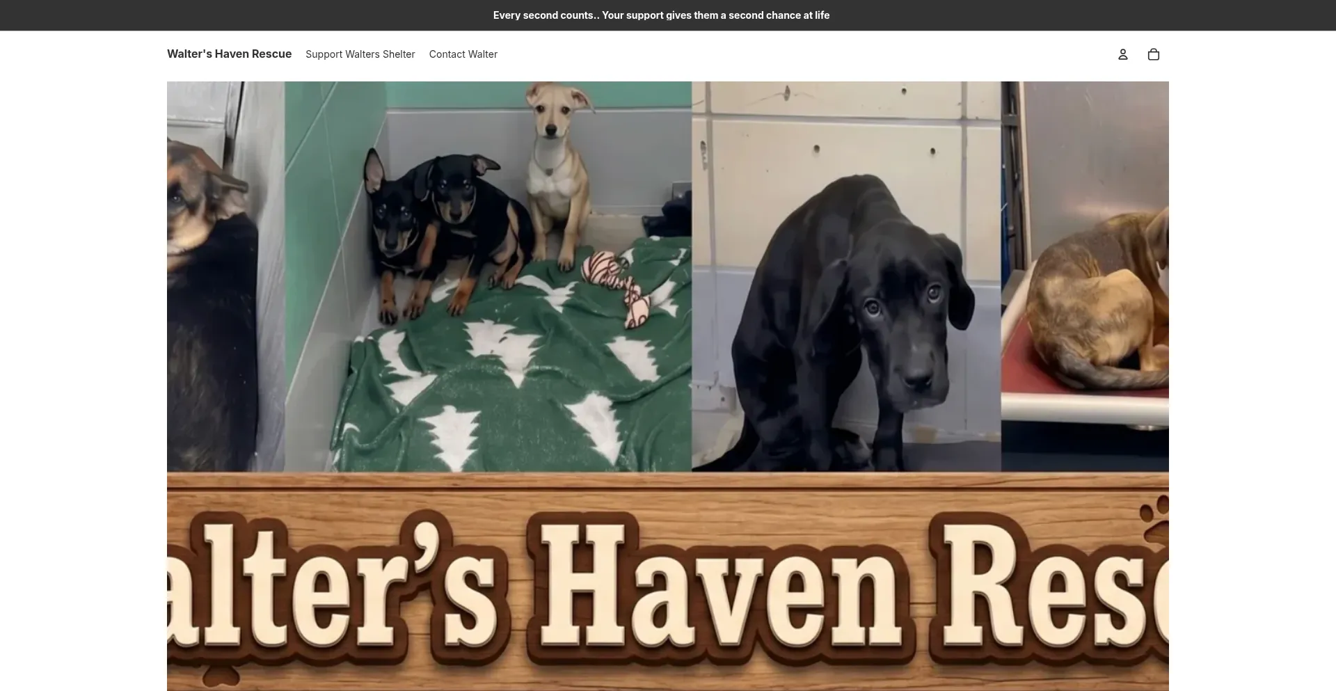 Waltershavenrescue.com