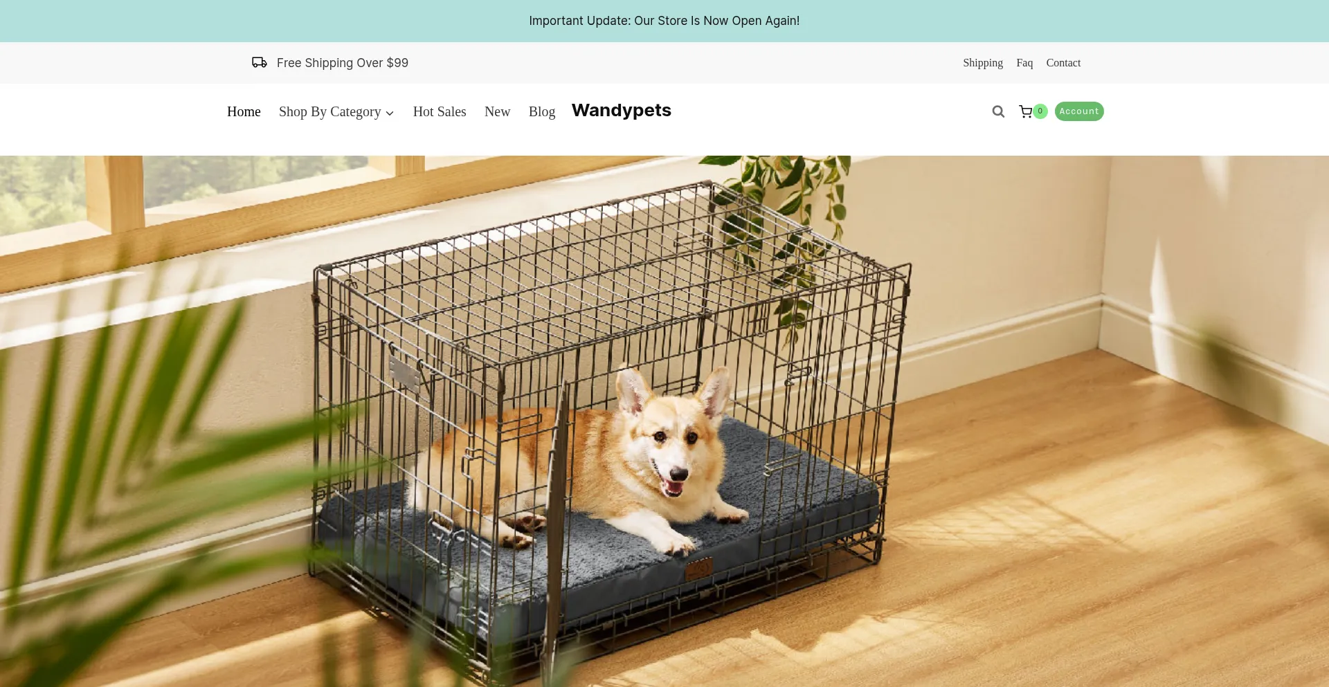 Wandypets.com