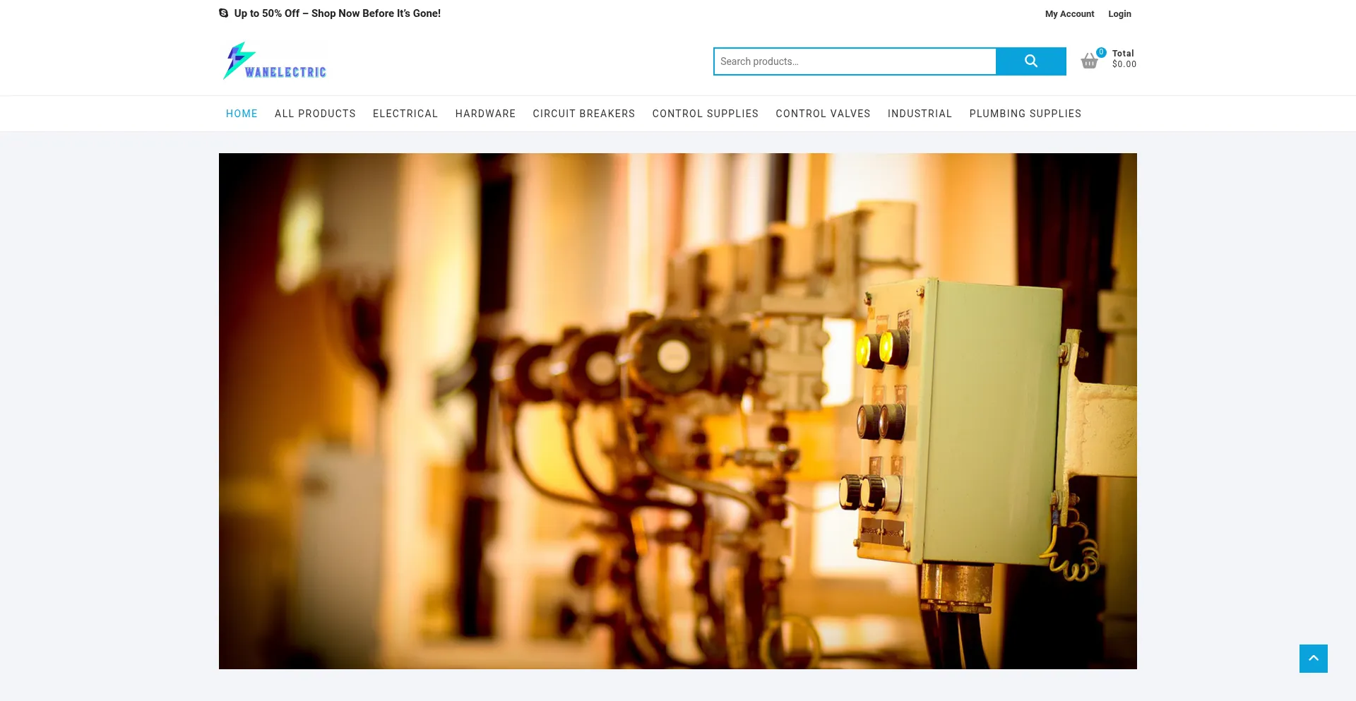 Website screenshot of Wanelectric.com