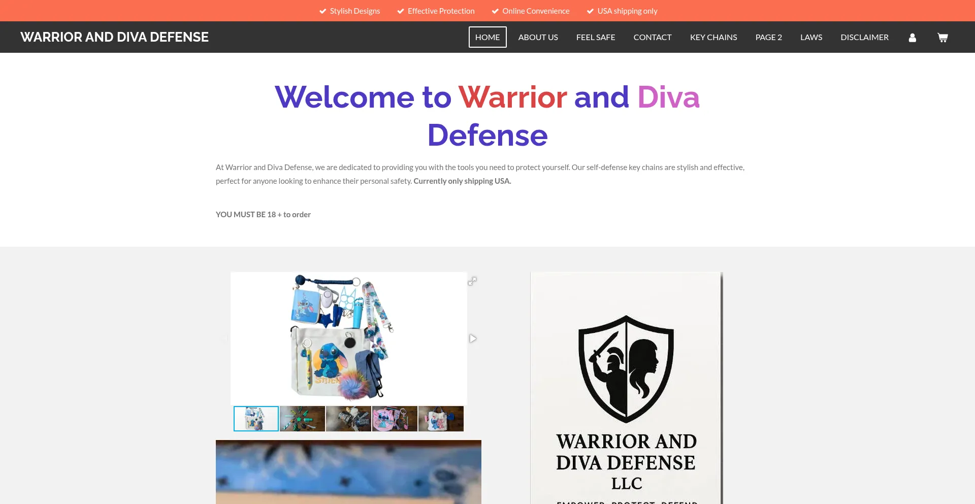 Website screenshot of Warrioranddivadefense.com