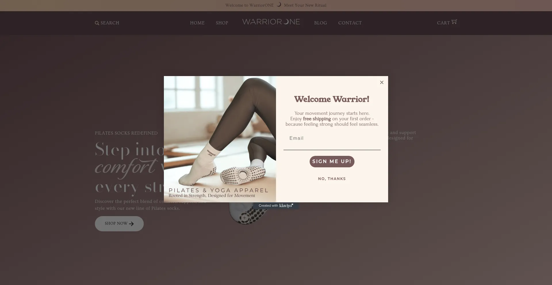 Website screenshot of Warriorone.space