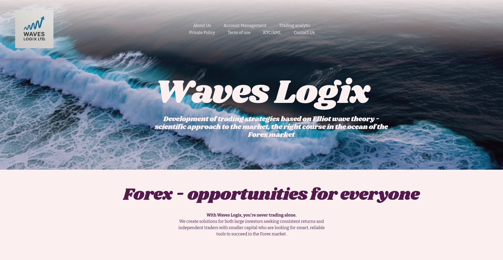 Website screenshot of Waveslogix.com