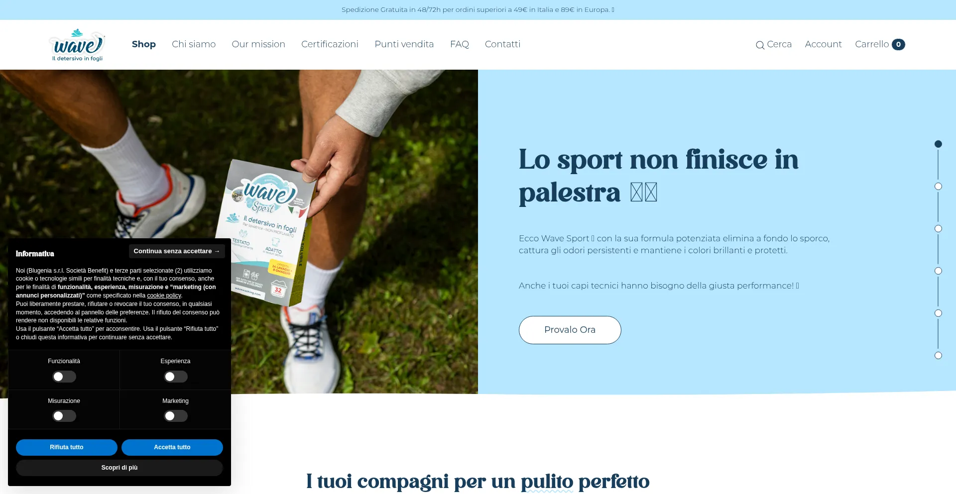 Wavewashing.com Screenshot