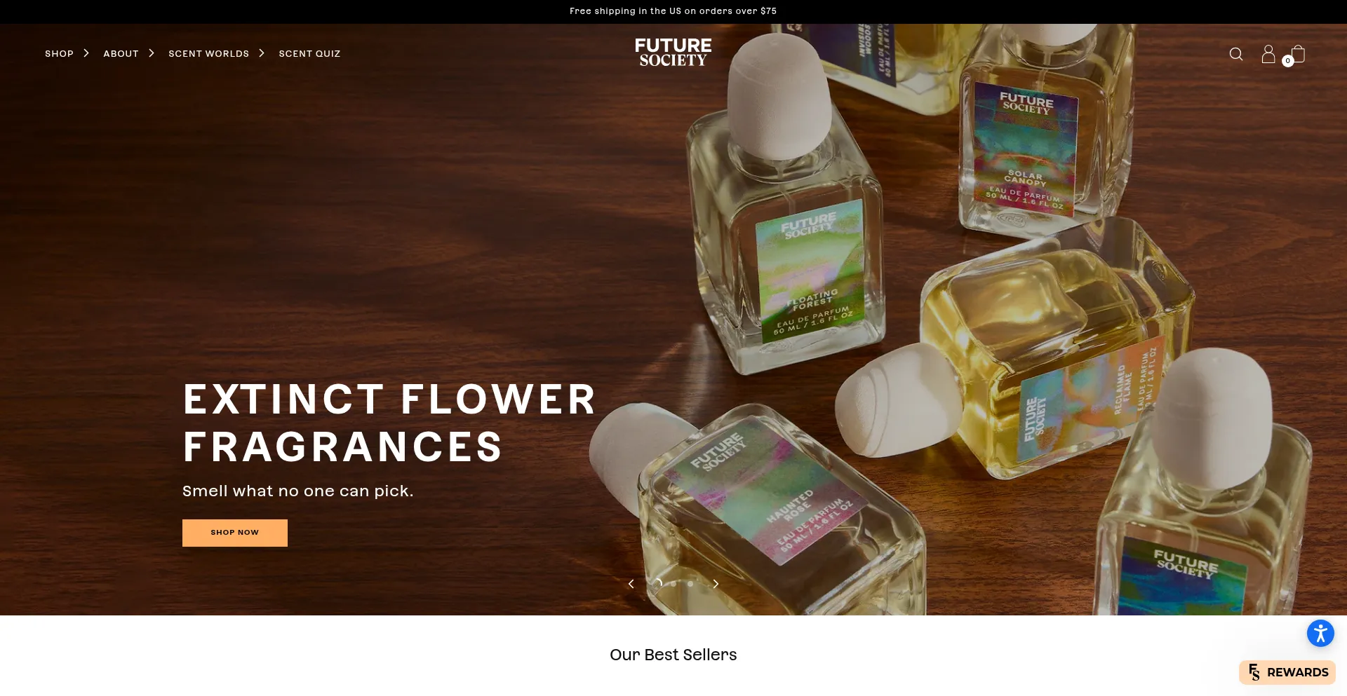 Website screenshot of Wearefuturesociety.com