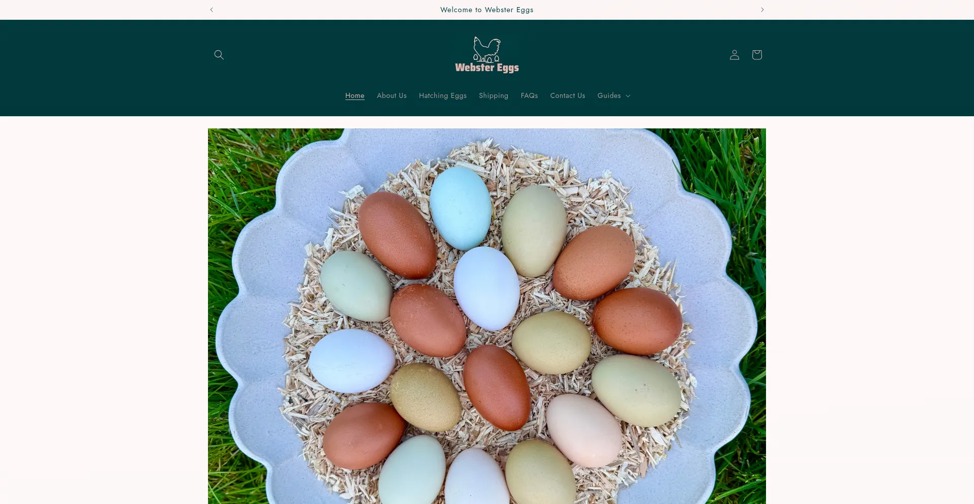 Webstereggs.com 安全可靠吗？