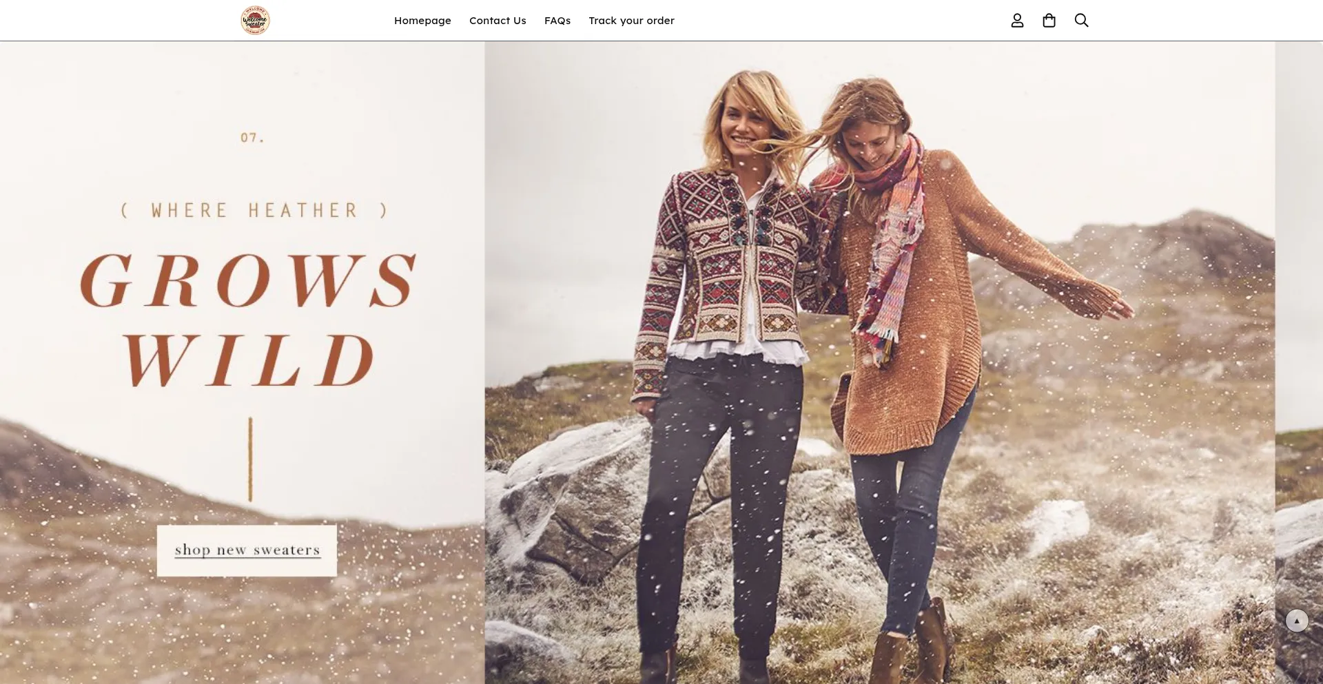 Website screenshot of Welcomesweaterlocalbrand.com