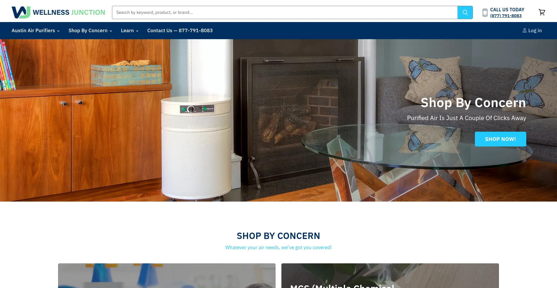 Website screenshot of Wellnessjunction.com