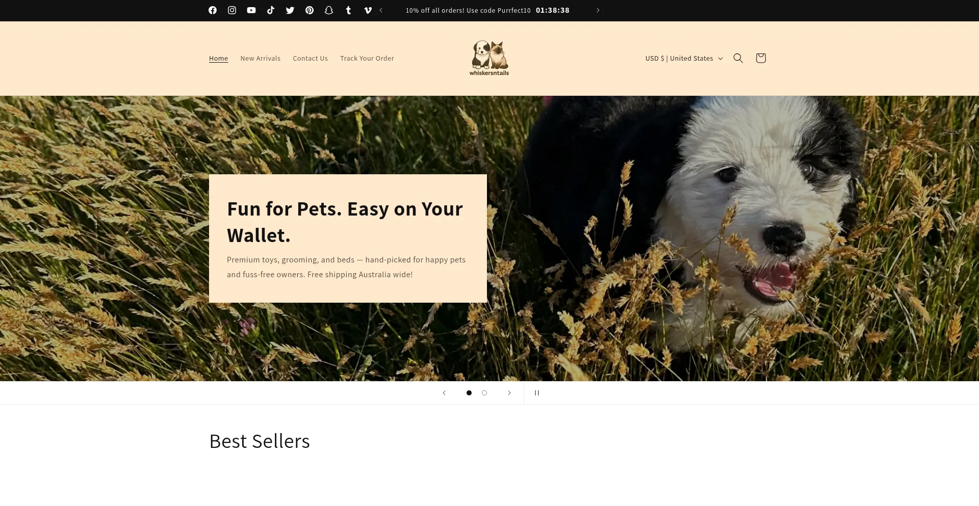 Website screenshot of Whiskersntails.store