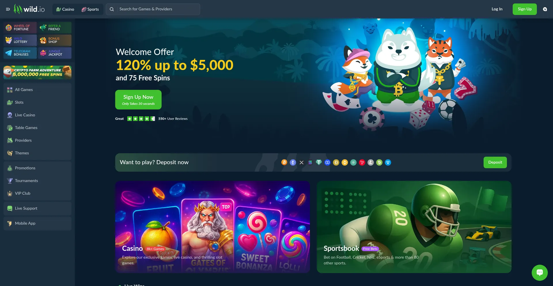 Website screenshot of Wild.io