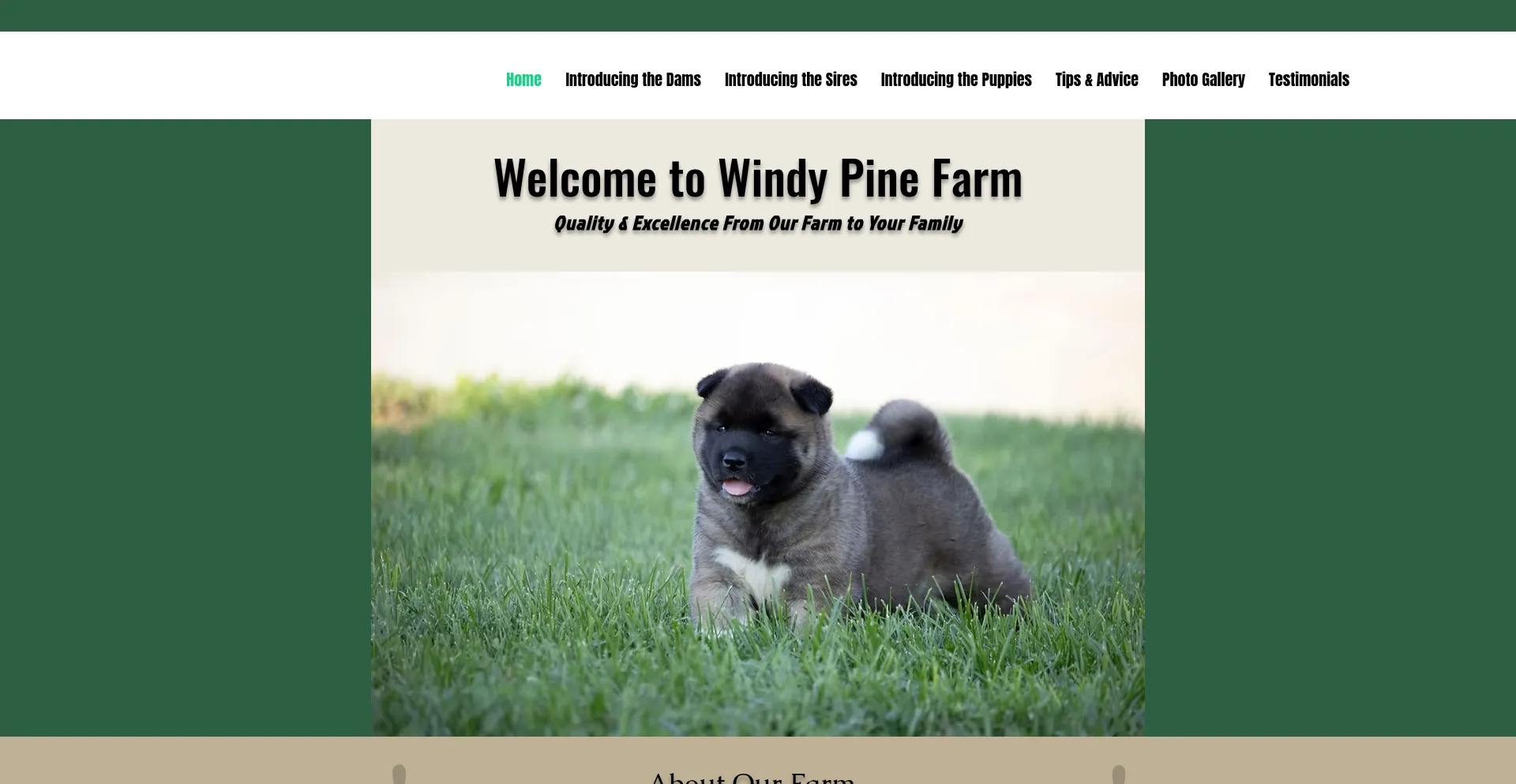 Windypinefarm.com 安全可靠吗？