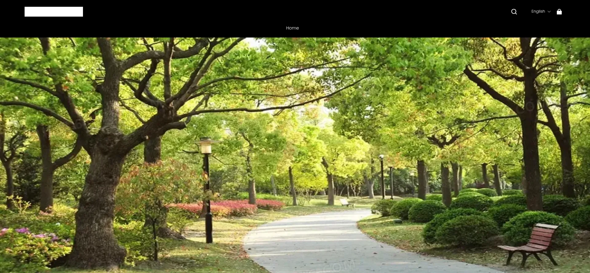 Wipless.com Screenshot