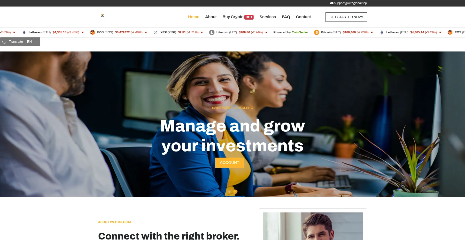Website screenshot of Wlthglobal.top