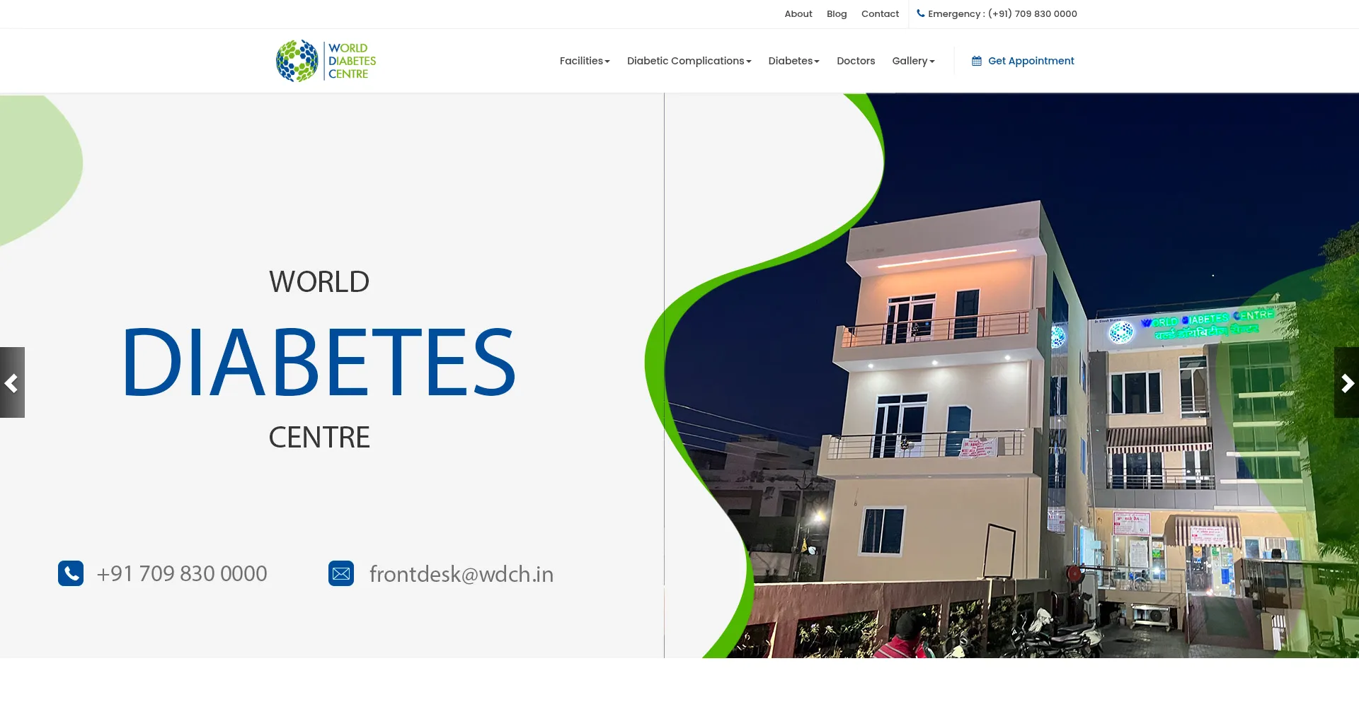 Website screenshot of Worlddiabetescentre.com