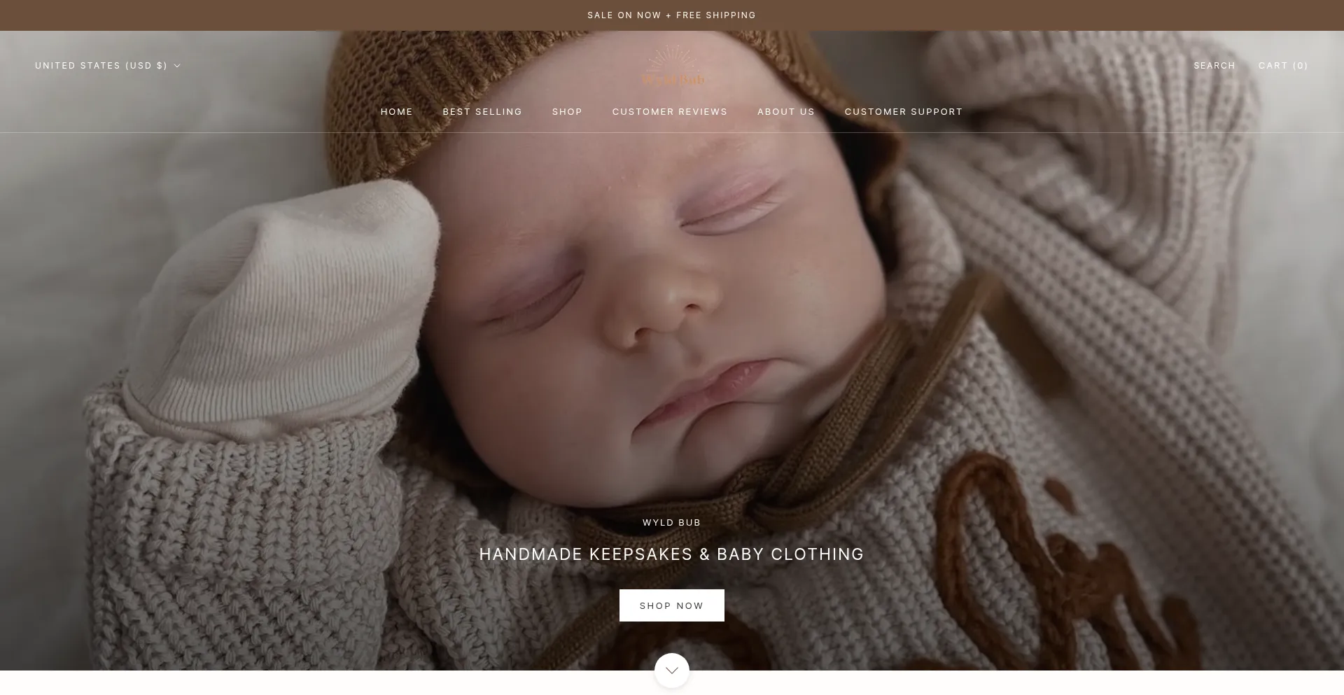 Website screenshot of Wyldbub.com