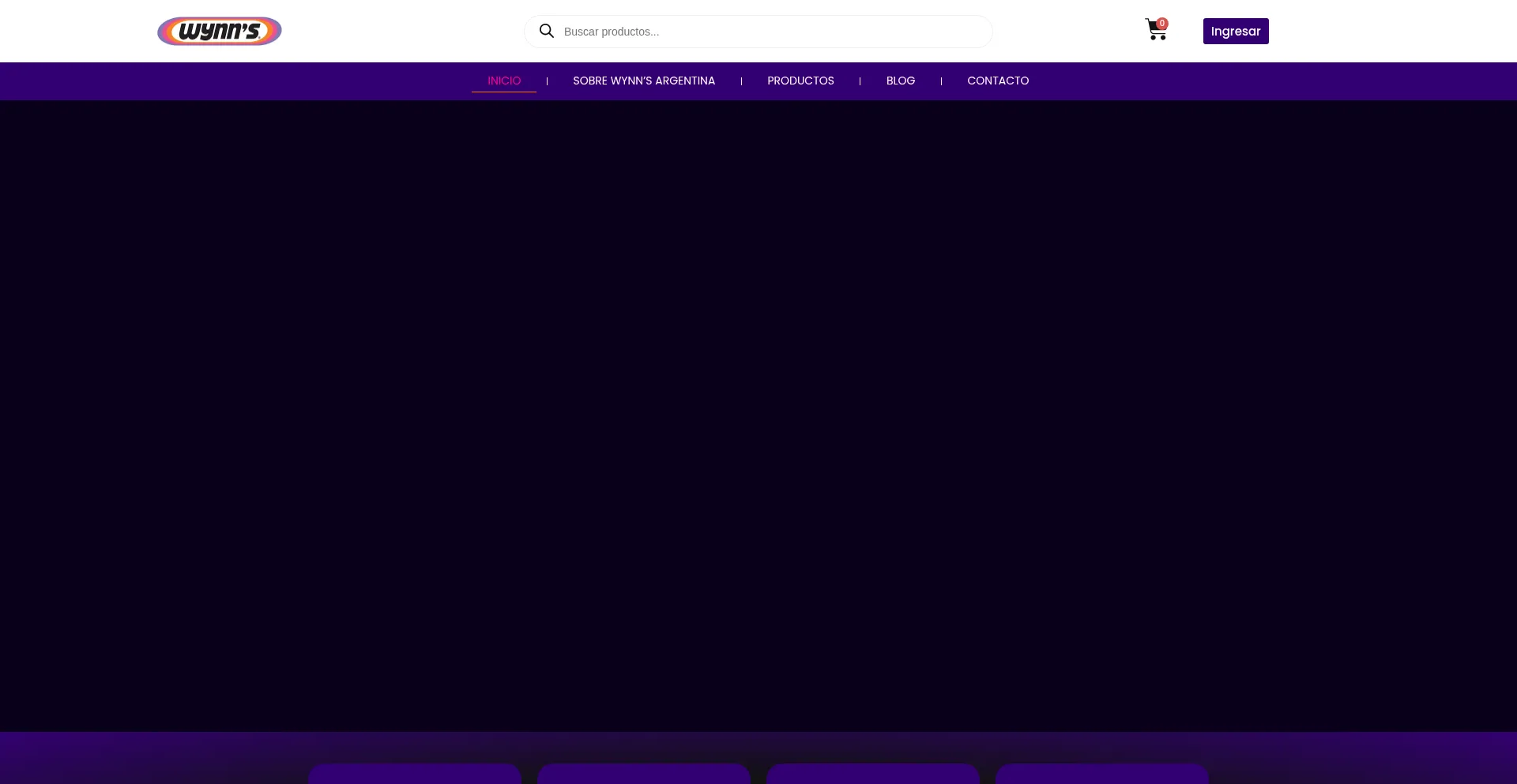 Website screenshot of Wynns.com.ar