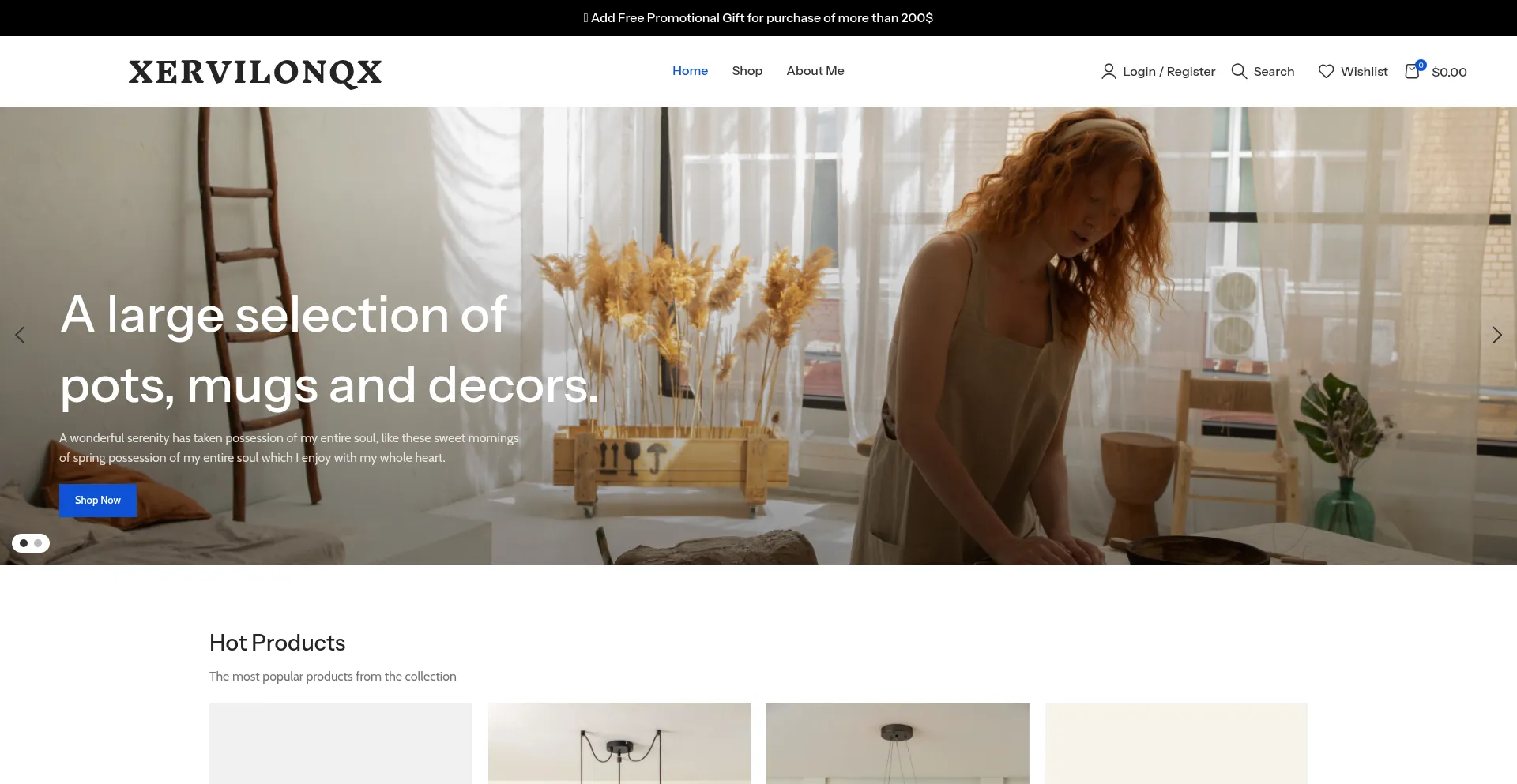 Website screenshot of Xervilonqx.shop