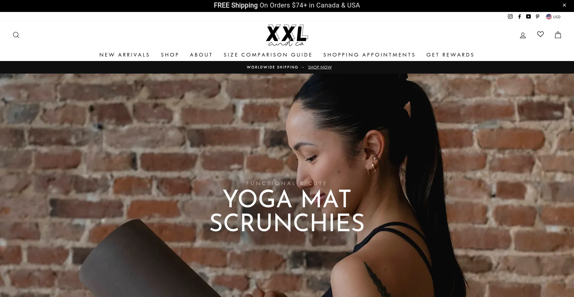 Website screenshot of Xxlandco.com