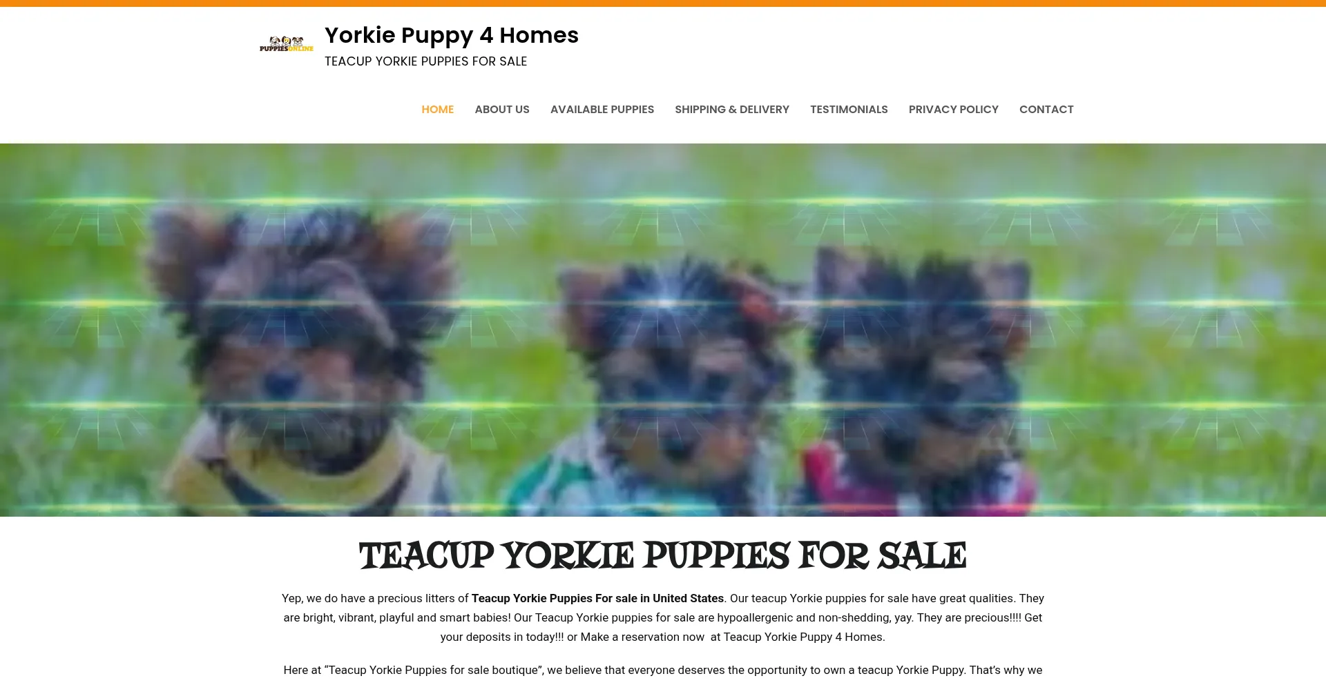 Website screenshot of Yorkiepuppy4homes.com