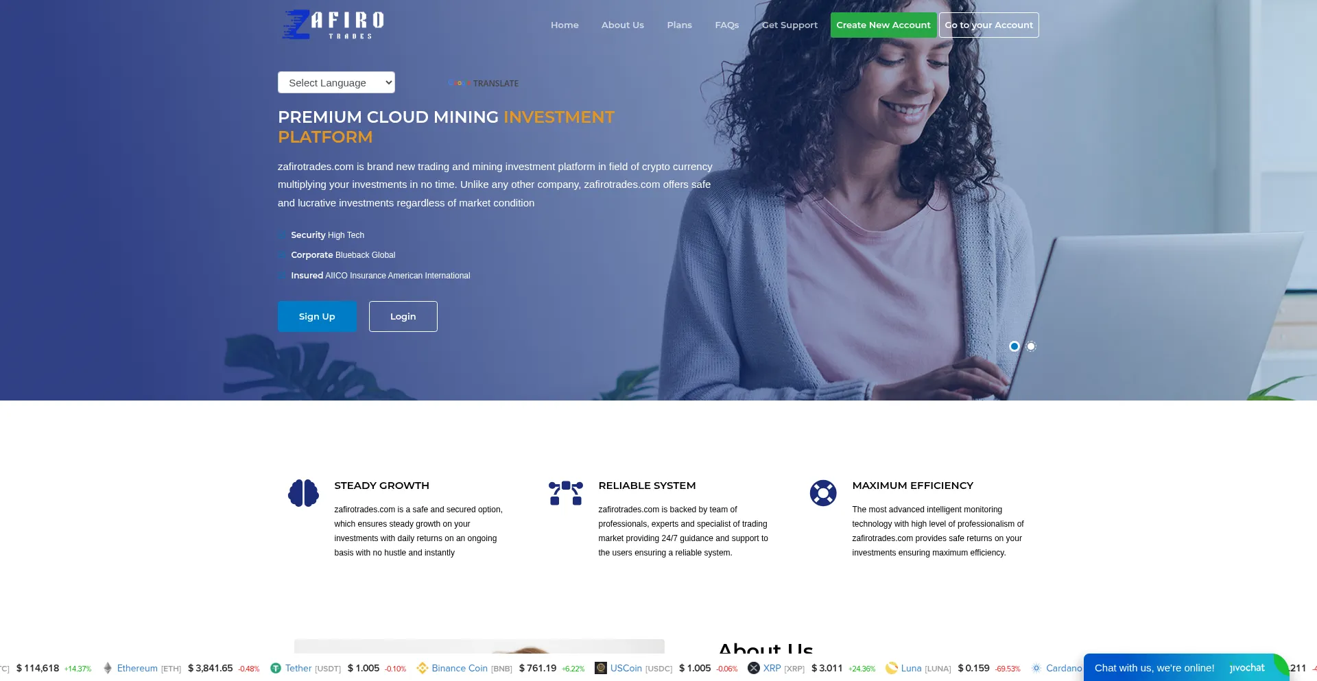 Website screenshot of Zafirotrades.com