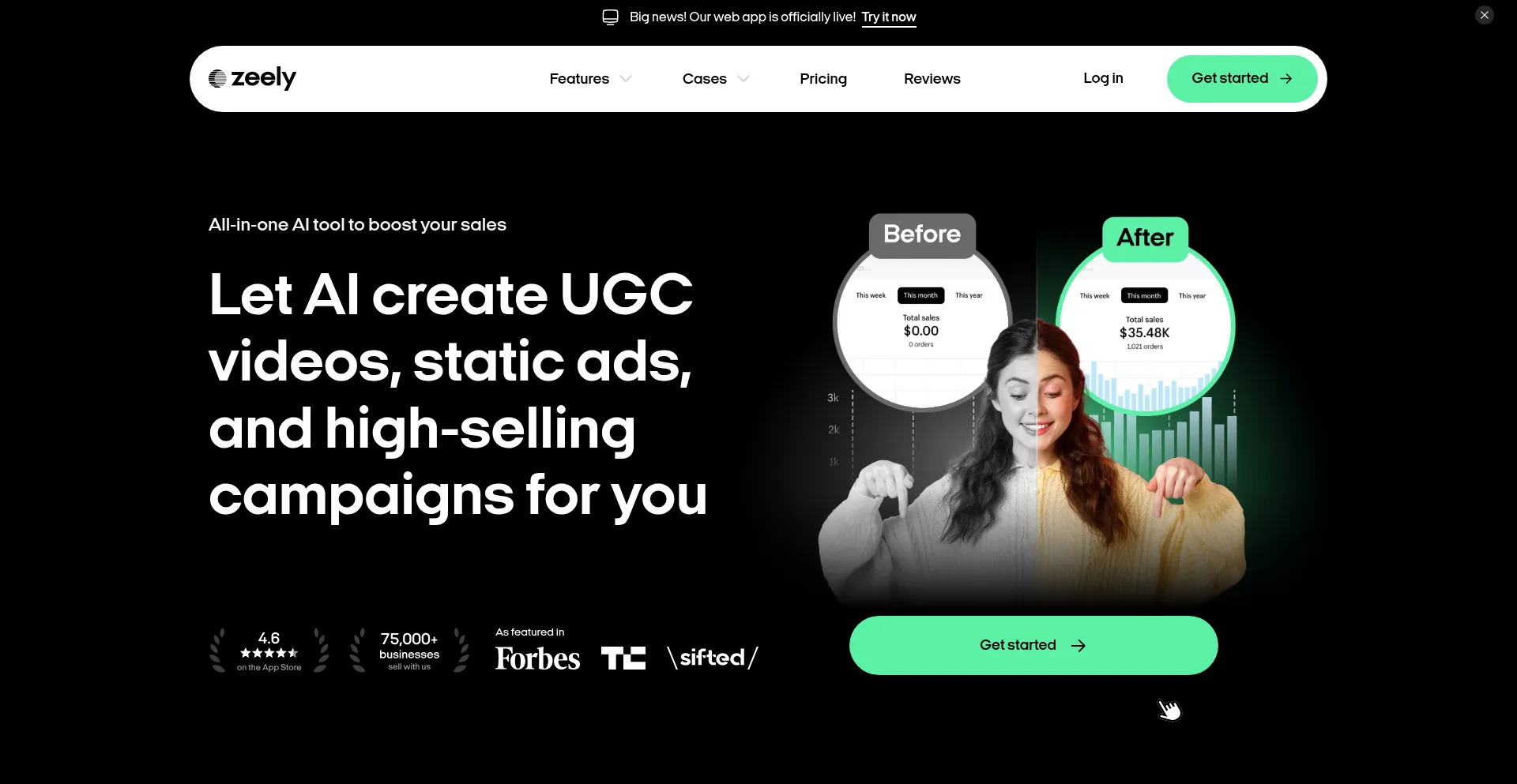 Website screenshot of Zeely.ai