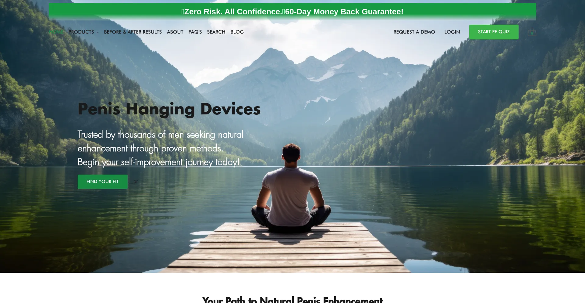 Website screenshot of Zenhanger.com