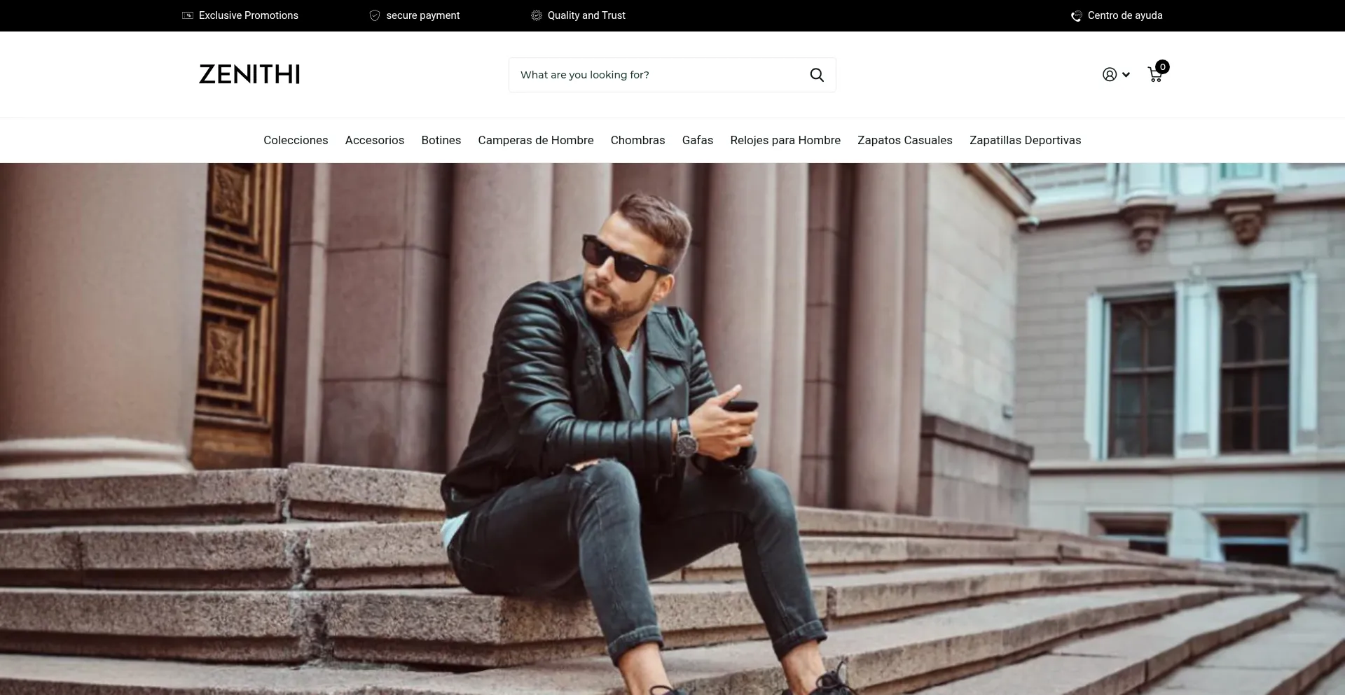 Website screenshot of Zenithi-us.com
