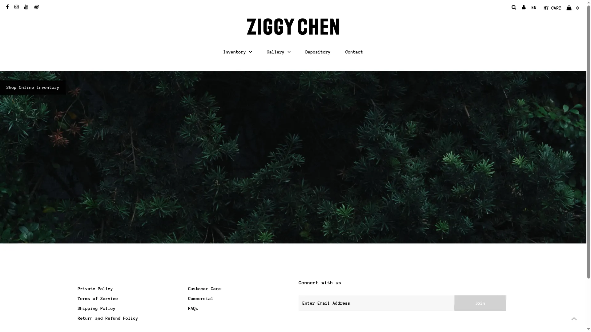 Ziggychen.com