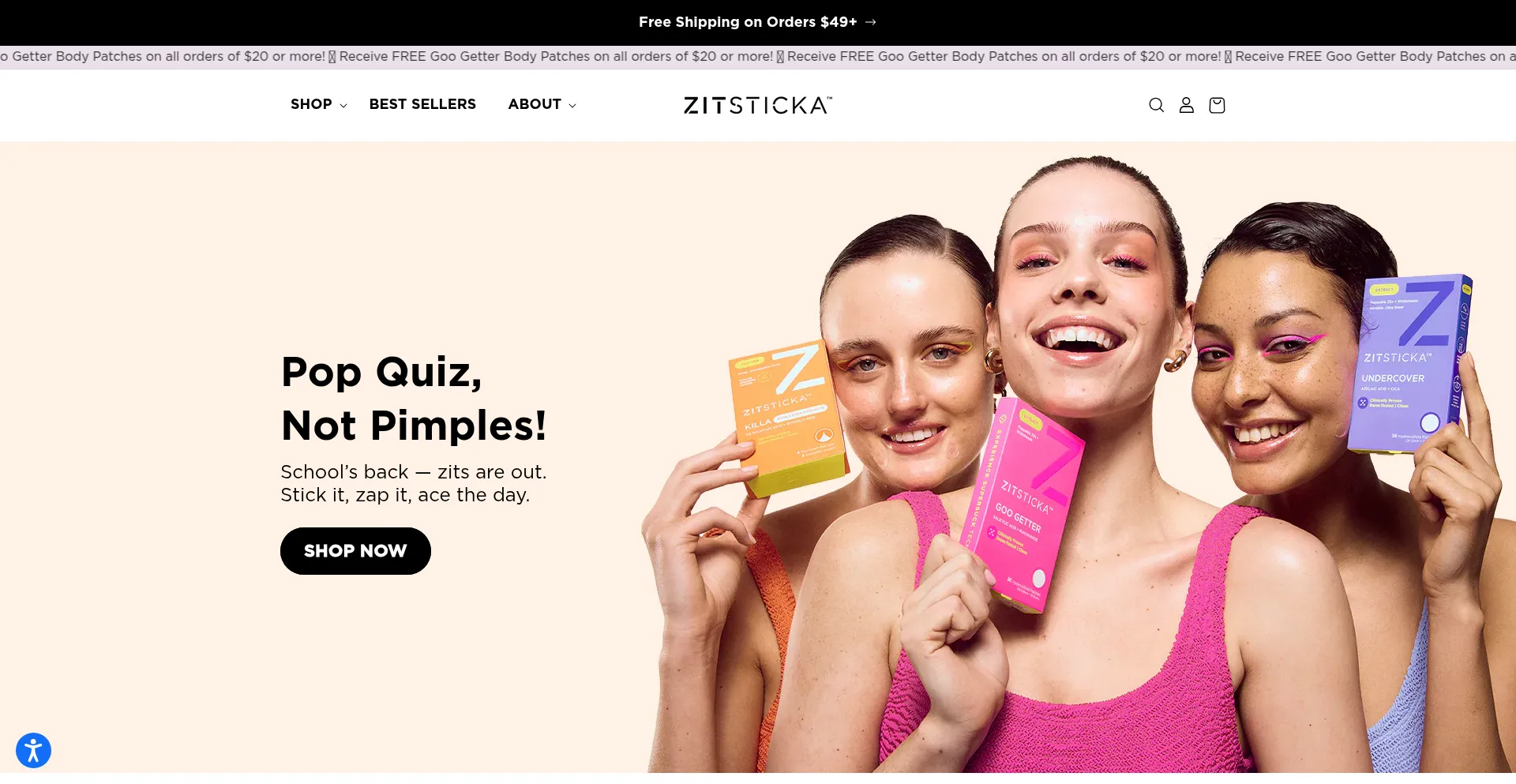 Website screenshot of Zitsticka.com