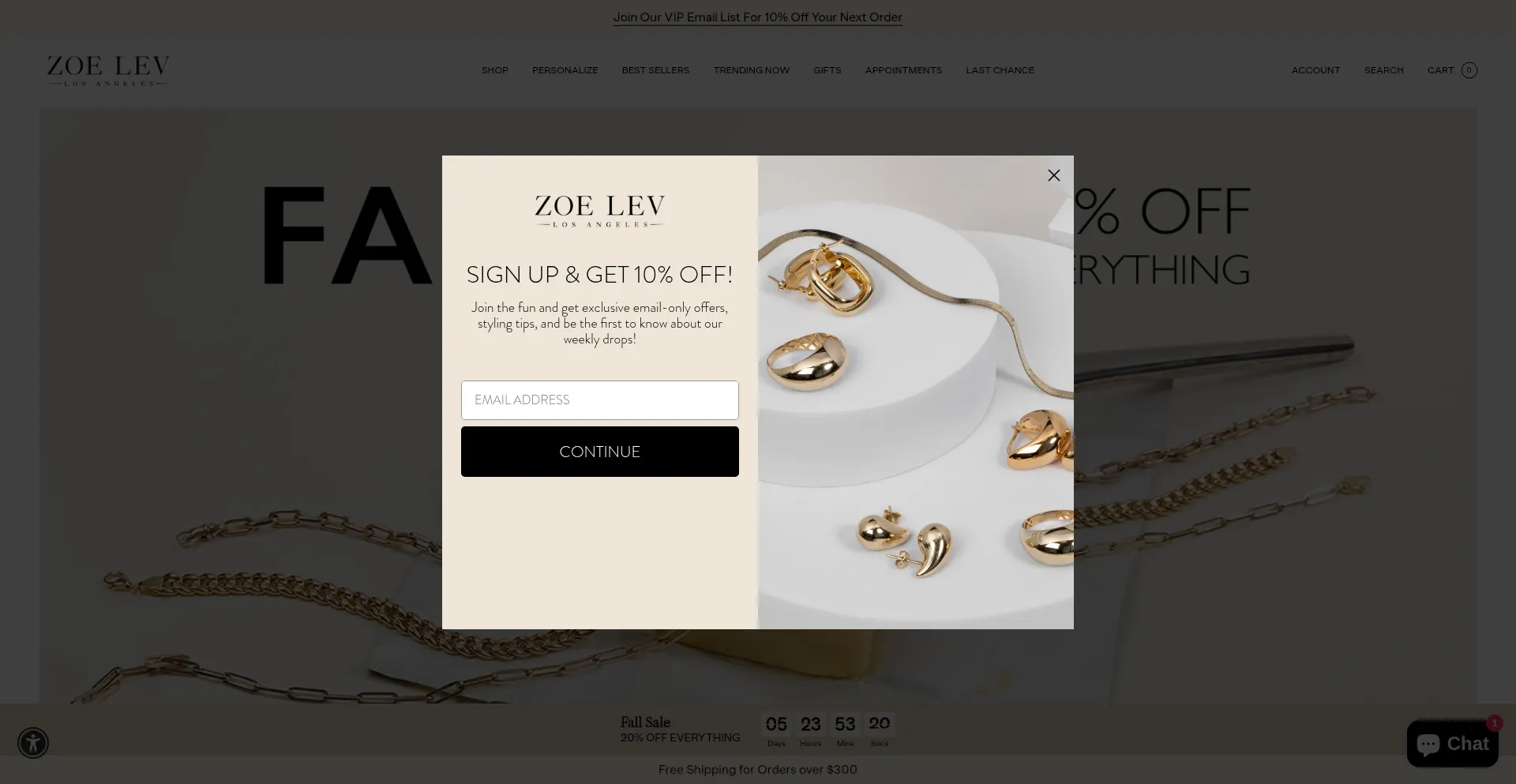 Zoelev.com Screenshot