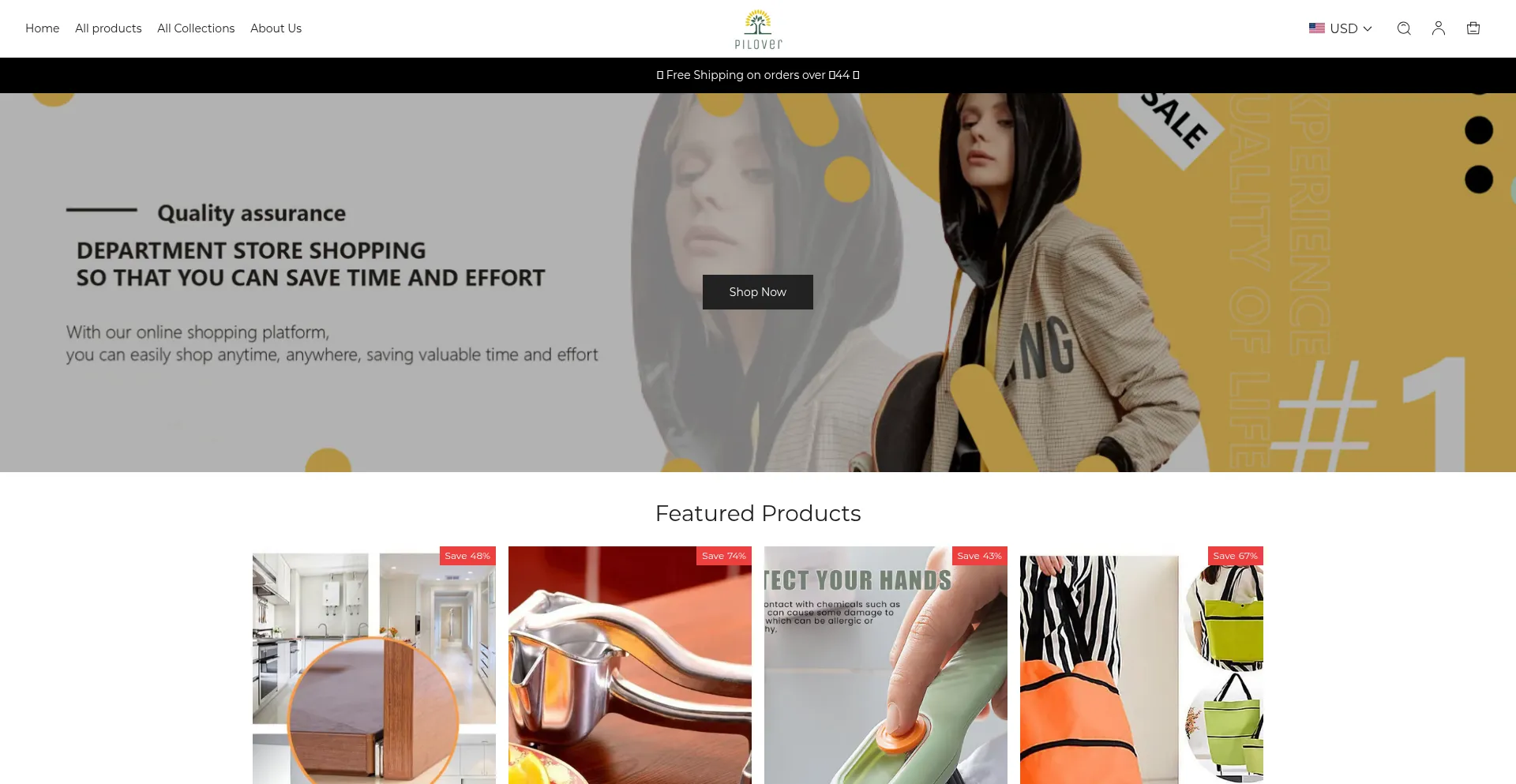 Website screenshot of Zornyert.com