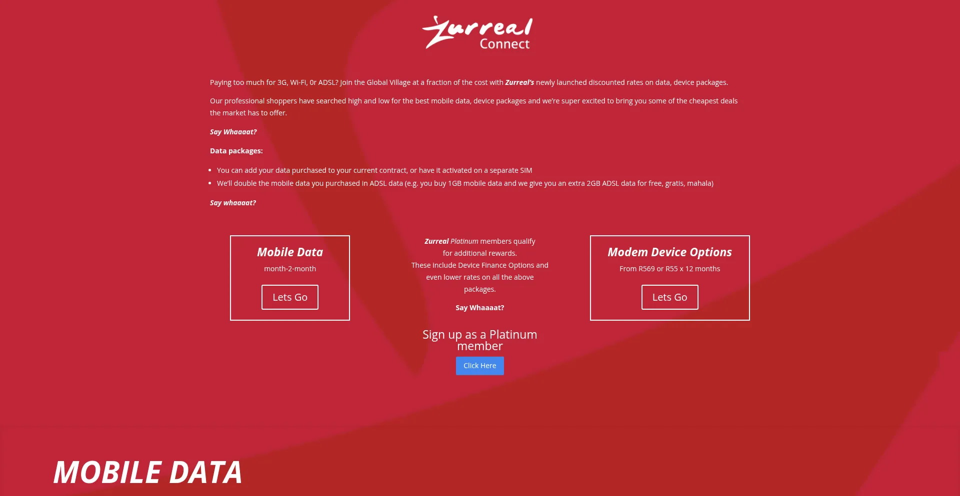 Zurrealconnect.co.za
