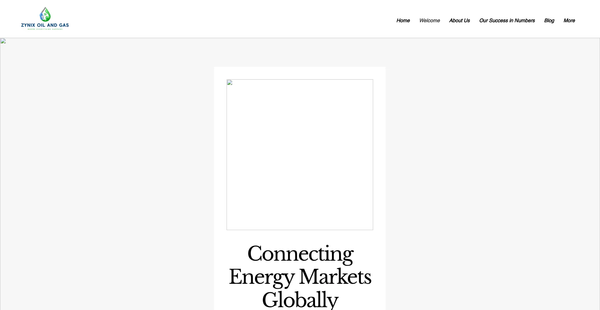 Website screenshot of Zynixoilandgas.com